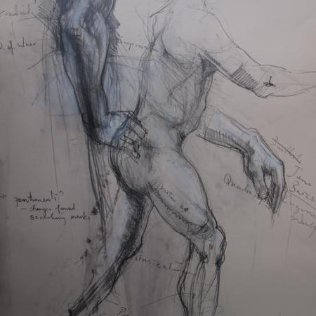 Anatomy Study 1
