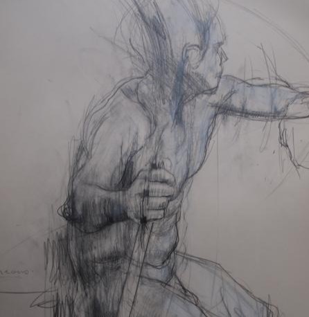 Anatomy Study 3